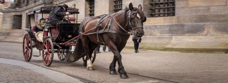 Horse Carriage