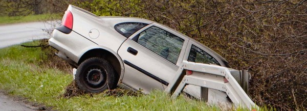 car crash, injured pets concept