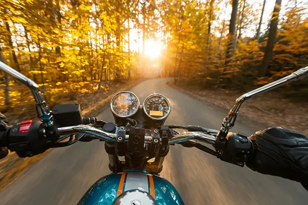 Motorcycle riding through tree lined road