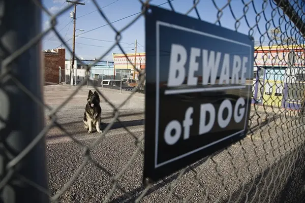 Dog Behind Fence and "Beware of Dog" Sign