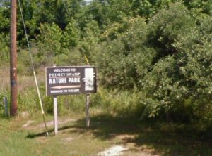 Phinizy Swamp Nature Park Augusta GA