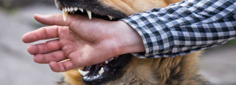 Dog Biting Hand